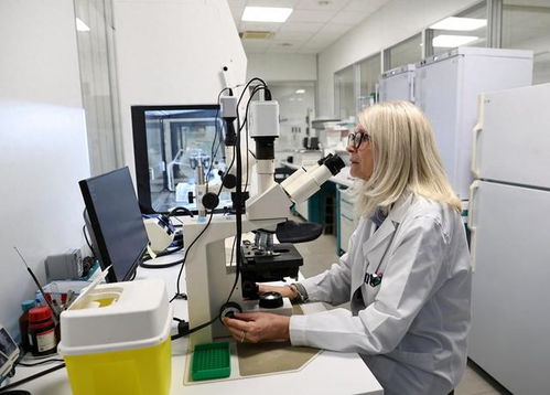 數(shù)字化轉(zhuǎn)型加速 意大利企業(yè)AI技術(shù)采用率實(shí)現(xiàn)翻倍增長